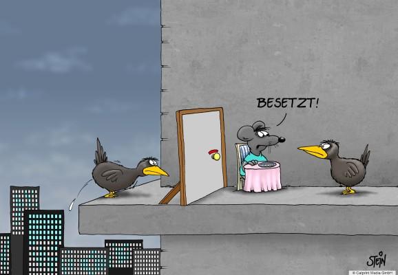 Zu den Cartoons