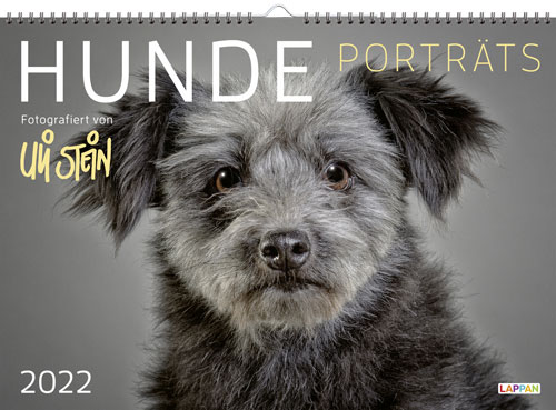 Hunde Porträts 2022: Monatskalender für die Wand im Großformat